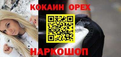 гашик Камышлов