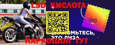 гашик Камышлов