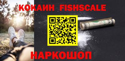 гашик Камышлов