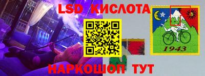 гашик Камышлов
