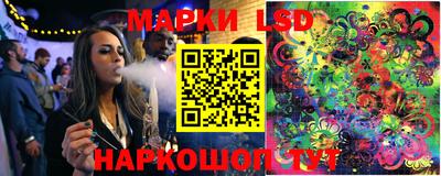 гашик Камышлов