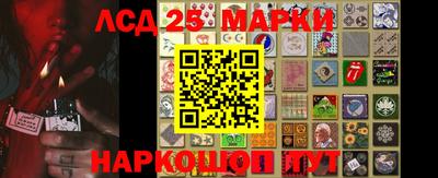 гашик Камышлов