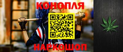 гашик Камышлов