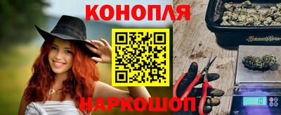 гашик Камышлов